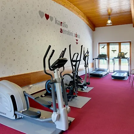Hotel Vz 3*